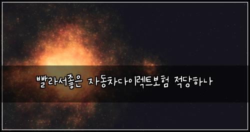빨라서좋은 자동차다이렉트보험 적당하나 