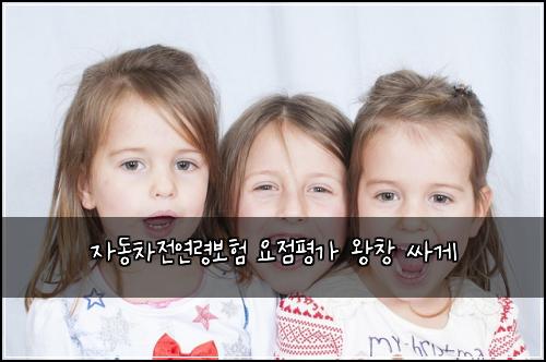 자동차전연령보험 요점평가  왕창 싸게