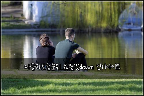 자동차보험순위 요령껏down 인기사이트