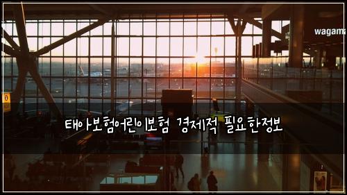 태아보험어린이보험 경제적 필요한정보