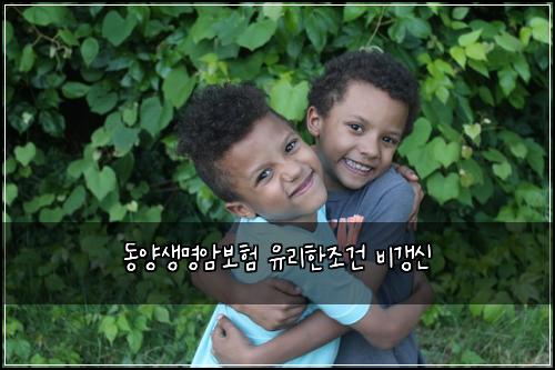 ๋์์๋ช
์๋ณดํ ์ ๋ฆฌํ์กฐ๊ฑด ๋น๊ฐฑ์