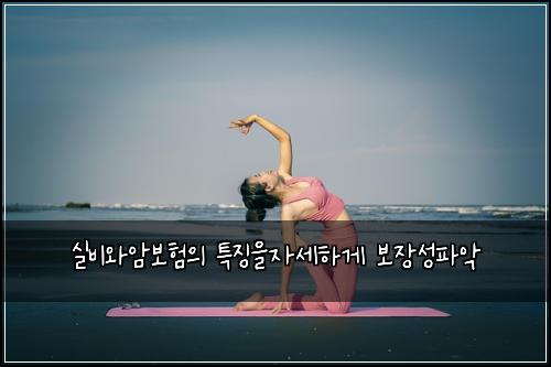 실비와암보험의 특징을자세하게 보장성파악
