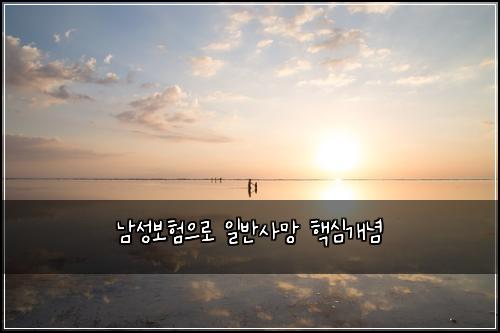 남성보험으로 일반사망 핵심개념