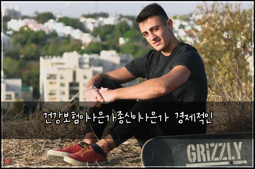 건κ°λ³΄νμ΄λμκ°μ’
μ μ΄λμκ° κ²½μ μ μΈ