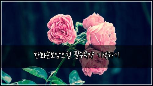 한화손보암보험 필수특약  기억하기