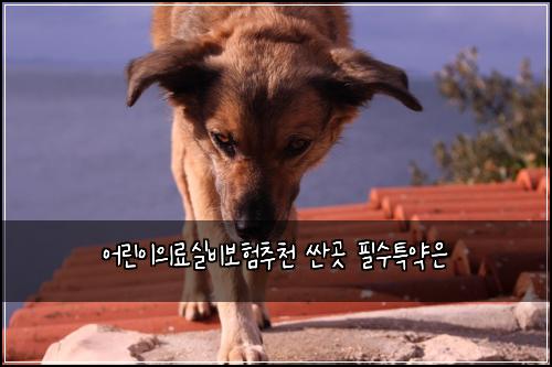 ์ด๋ฆฐ์ด์๋ฃ์ค๋น๋ณดํ์ถ์ฒ ์ผ๊ณณ ํ์ํน์ฝ์
