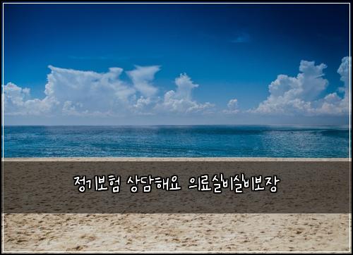 정기보험 상담해요  의료실비실비보장