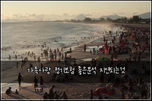 가족사랑 정기보험 좋은분석  지연되는것