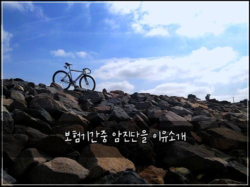 보험기간중 암진단을 이유소개
