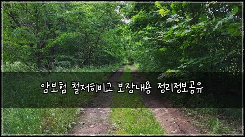 암보험 철저히비교  보장내용 정리정보공유