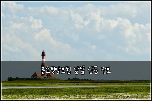 홈쇼핑암보험 알뜰  상품 정보
