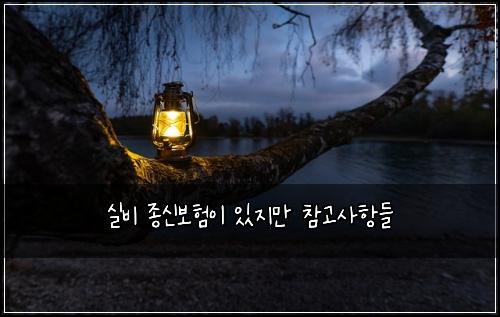실비 종신보험이 있지만 참고사항들