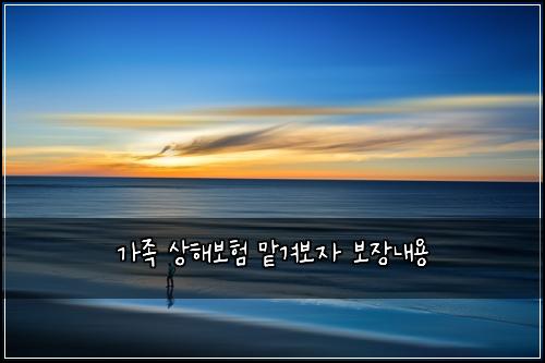 가족 상해보험 맡겨보자  보장내용