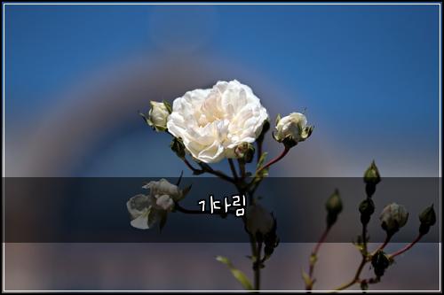 기다림