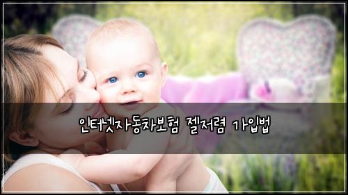 인터넷자동차보험 젤저렴  가입법