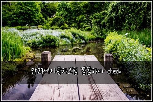 만29세자동차보험 꼼꼼하다  check