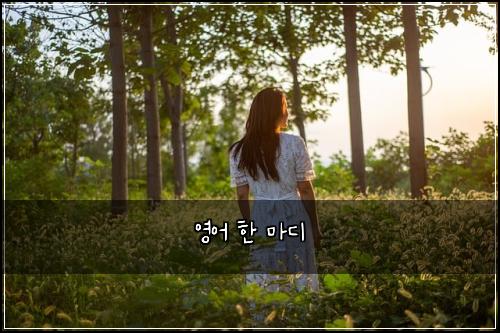 영어 한 마디