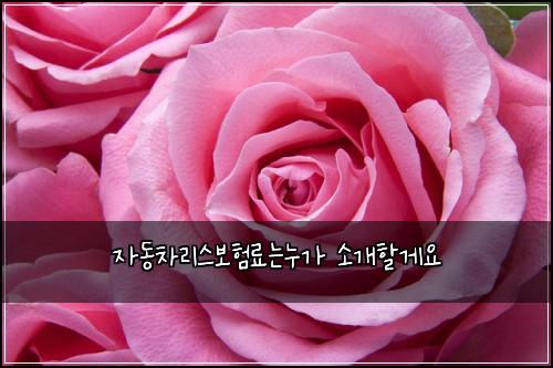 자동차리스보험료는누가 소개할게요
