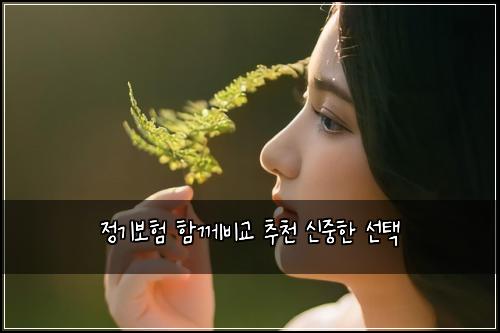 정기보험 함께비교  추천 신중한 선택
