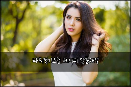 파워정기보험 레시피  맞춤해석