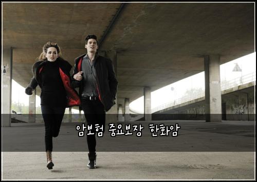암보험 중요보장  한화암