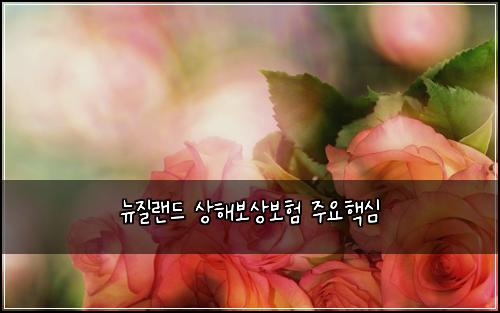 뉴질랜드 상해보상보험 주요핵심 