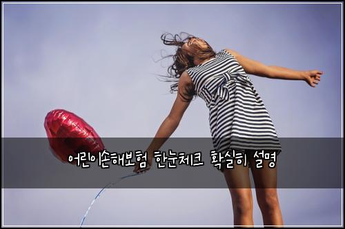 어린이손해보험 한눈체크  확실히 설명
