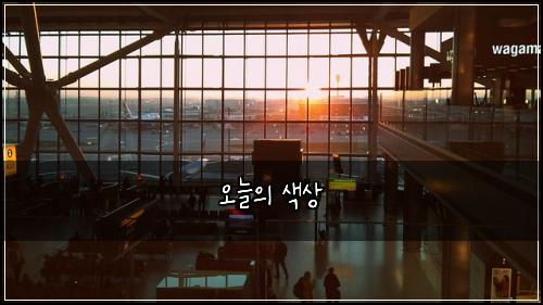오늘의 색상