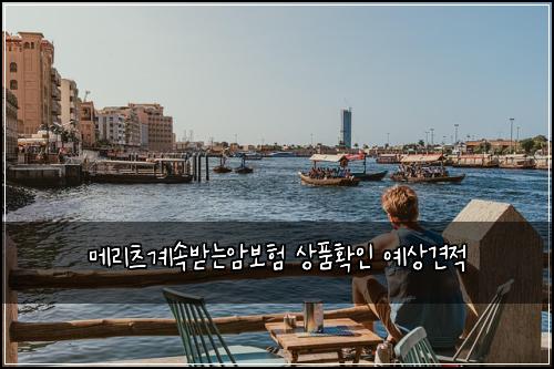 메리츠계속받는암보험 상품확인  예상견적
