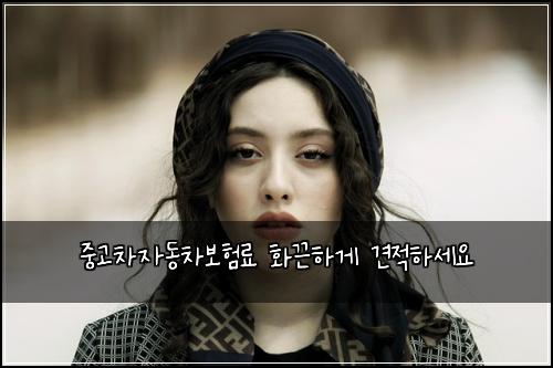 중고차자동차보험료 화끈하게 견적하세요