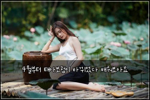 4์๋ถํฐ ํ์๋ณดํ์ด ๋ฐ๋์๋ค ๋ฐฐ์๋ณด์์