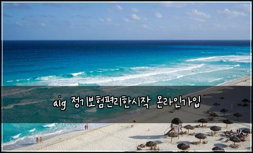 aig 정기보험편리한시작 온라인가입
