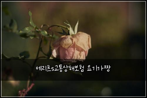 ๋ฉ๋ฆฌ์ธ s๊ตํต์ํด๋ณดํ ์๊ธฐ๊ฐ์งฑ