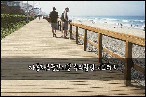 자동차보험만기일 주의할점 비교하긔