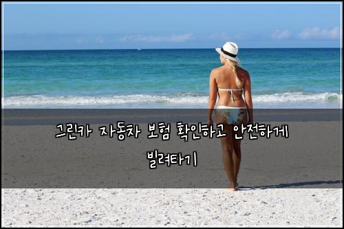 그린카 자동차 보험 확인하고 안전하게 빌려타기