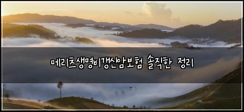 메리츠생명비갱신암보험 솔직한 정리