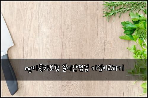 mg자동차보험 실시간점검  가입비교하기