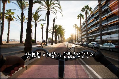 정기보험 미래설계  괜찮은것같은데