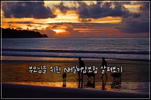 부모님을 위한 NH실버암보험 살펴보기