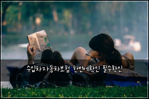 수입차자동차보험 한번에확인  필수확인
