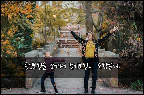 종신보험을 쪼개서 정기보험과 조합설계