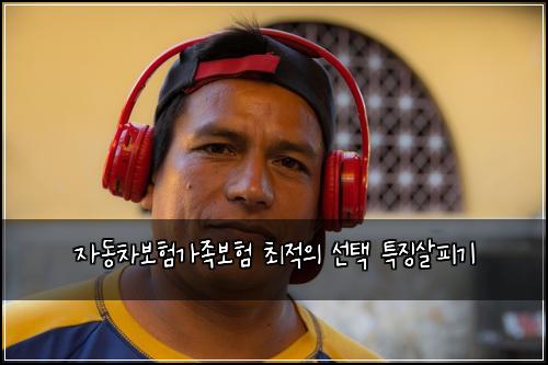 자동차보험가족보험 최적의 선택 특징살피기