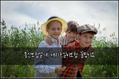 종신보험설계 매리츠실비보험 꿀팁이요