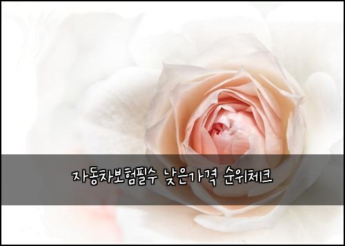 ์๋์ฐจ๋ณดํํ์ ๋ฎ์๊ฐ๊ฒฉ ์์์ฒดํฌ