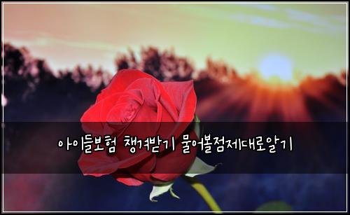 아이들보험 챙겨받기  물어볼점제대로알기