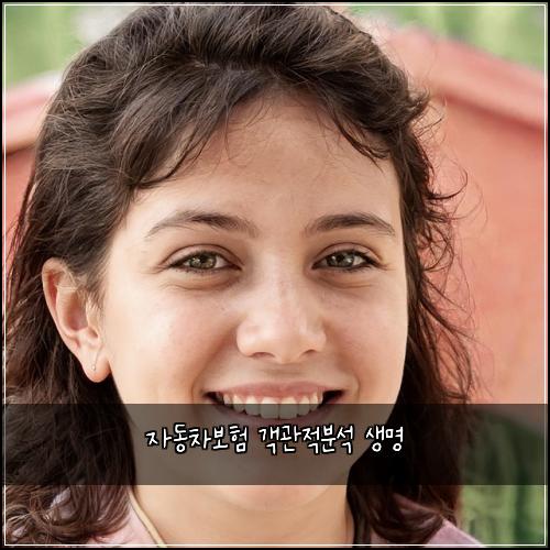 자동차보험 객관적분석  생명