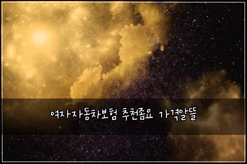 여자자동차보험 추천좀요  가격알뜰