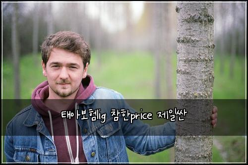 태아보험lig 참한price 제일싼