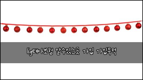 ligํ์๋ณดํ ์์์๋๊ณณ ๊ฐ์
๊ฐ์
๋ชฉ์ 