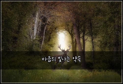 ๋ง์์ ๋น๋๋ ์ฝ์